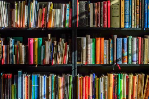Libri_notizia_pubblicazione_tesi